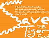 /album/photo-gallery-design-samples/save-the-tiger-jpg/